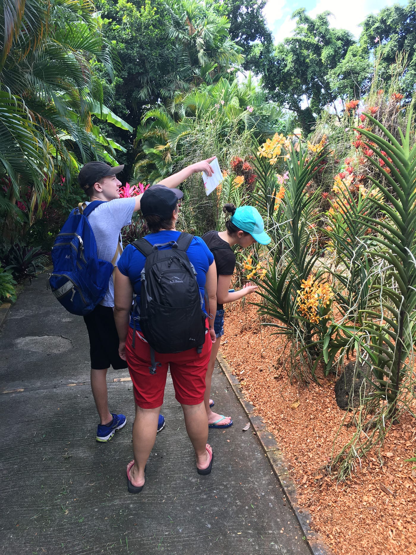 At Jardin Botanique — probably another bird sighting, they were everywhere and our son Nate loves birds.