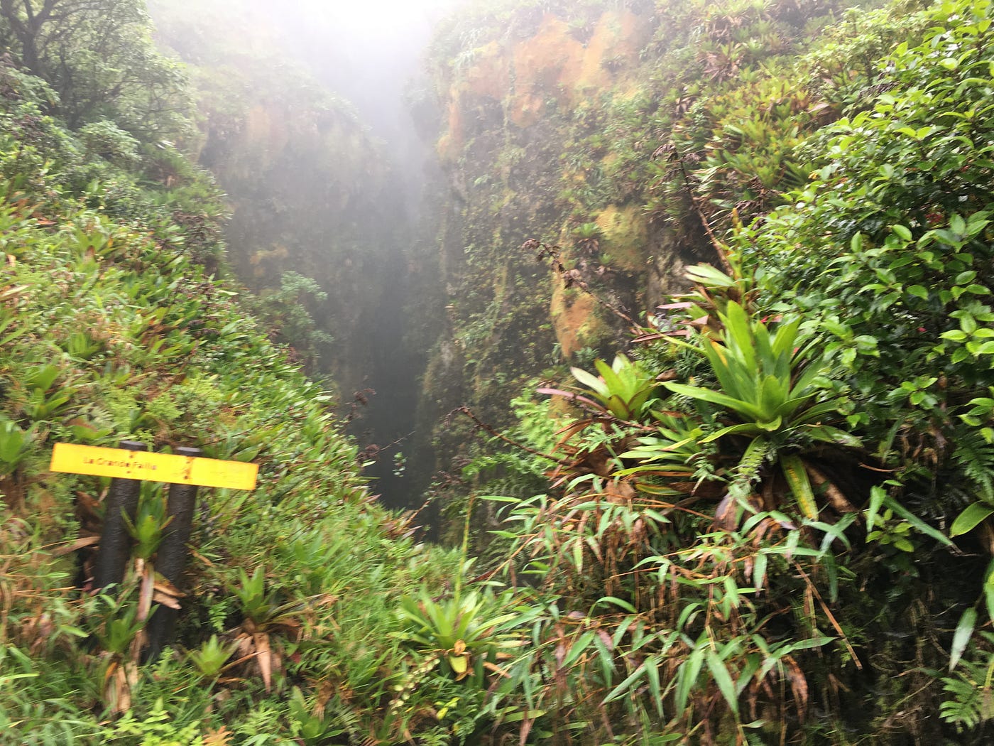 One of the only salvageable photos from the La Soufrière hike, near the summit